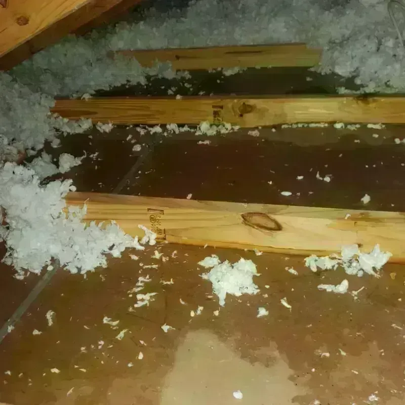 Attic Water Damage in Mount Zion, IL