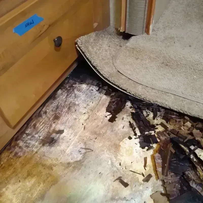 Best Wood Floor Water Damage Service in Mount Zion, IL